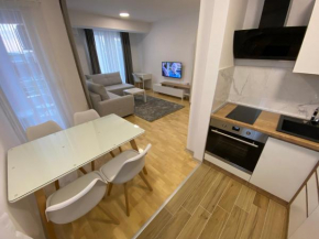 Central Luxury Apartments Ohrid